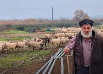 Δεν άντεξε ο κτηνοτρόφος που αποχαιρέτησε τα 450 πρόβατά του, στο νοσοκομείο με εγκεφαλικό (βίντεο)
