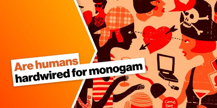 Μονογαμία και ανθρώπινη φύση: Οι άνθρωποι ανάμεσα στα πιο πιστά θηλαστικά (βίντεο)