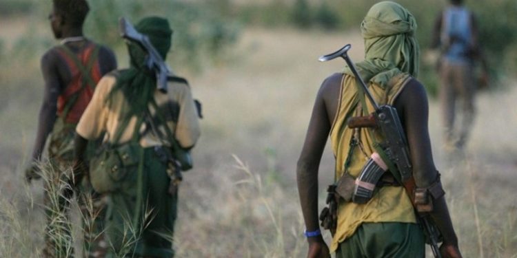 Νιγηρία: Ένοπλοι απαγάγουν 28 πιστούς που πήγαιναν σε μουσουλμανική γιορτή