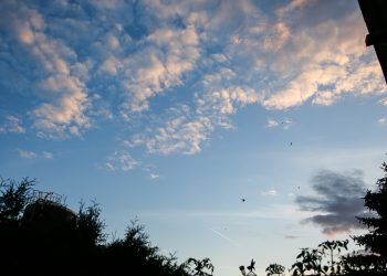 Η τρύπα του όζοντος συρρικνώθηκε στο μικρότερο μέγεθος των τελευταίων ετών