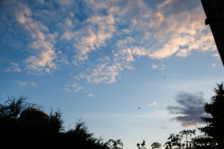 Η τρύπα του όζοντος συρρικνώθηκε στο μικρότερο μέγεθος των τελευταίων ετών