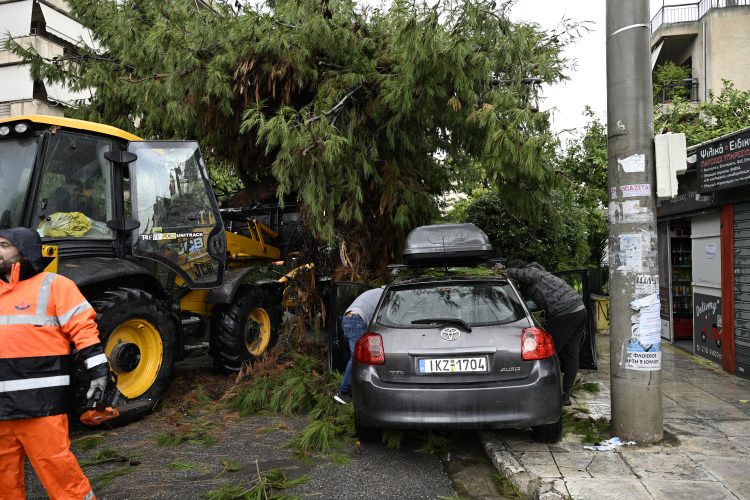 Δέντρο έπεσε πάνω σε όχημα στο Παλαιό Φάληρο – Μόλις είχε βγει οδηγός (βίντεο)