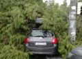 Δέντρο έπεσε πάνω σε όχημα στο Παλαιό Φάληρο – Μόλις είχε βγει οδηγός (βίντεο)