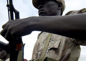 Κατάληψη της μεγαλύτερης πετρελαιοπηγής του Σουδάν από παραστρατιωτικούς