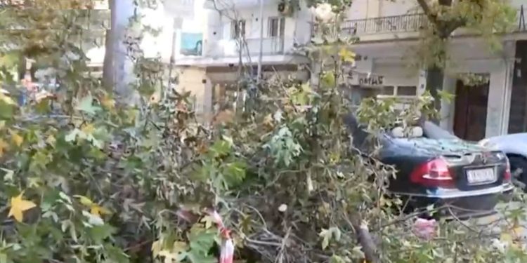 Θεσσαλονίκη: Πτώσεις δεκάδων δένδρων και πινακίδων λόγω ισχυρών ανέμων