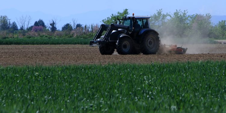 Κρίσιμη η συνεισφορά του αγροτικού τομέα στο ΑΕΠ