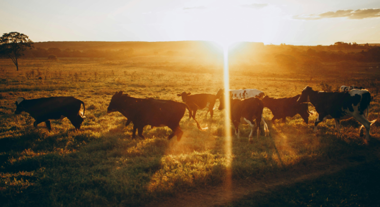 Aγροτικός «σεισμός» και στη Γαλλία – Βίαια επεισόδια και διαδηλώσεις