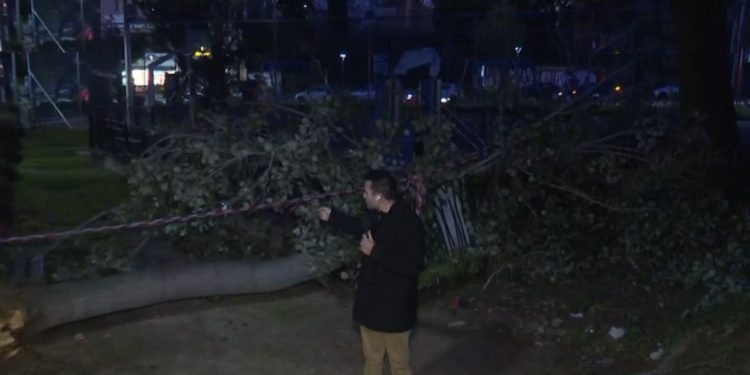 Χαϊδάρι: Δέντρο έπεσε σε παιδική χαρά – Δύο μέρες δεν το έχει μαζέψει ο δήμος