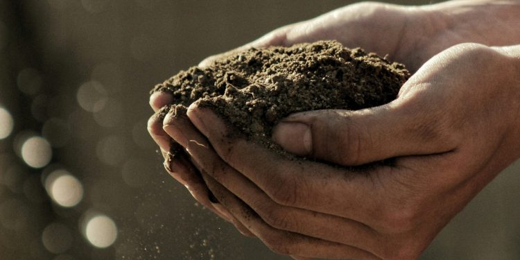 Διατροφική κρίση: Μεγαλύτερες ανισότητες και νέο κύμα ακρίβειας αν δεν δοθεί λύση στο αγροτικό ζήτημα