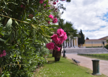Νέα μεταβολή του καιρού – Από χιόνια και κρύο σε… 20άρια