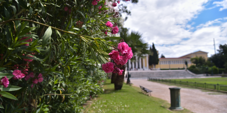Νέα μεταβολή του καιρού – Από χιόνια και κρύο σε… 20άρια