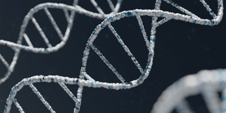 Ανακάλυψη – ορόσημο στη βιολογία: Νέα μορφή RNA βρέθηκε στο ανθρώπινο σώμα