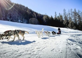 Γροιλανδία: Όταν τα έλκηθρα λένε «όχι» στον Τραμπ
