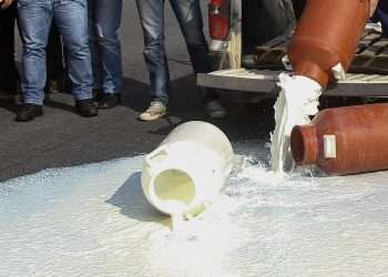 Τα funds βλέπουν κέρδη στην αγροτική παραγωγή: Γιατί γνωστοί επιχειρηματίες μπαίνουν σε ελαιόλαδο και γαλακτοκομικά