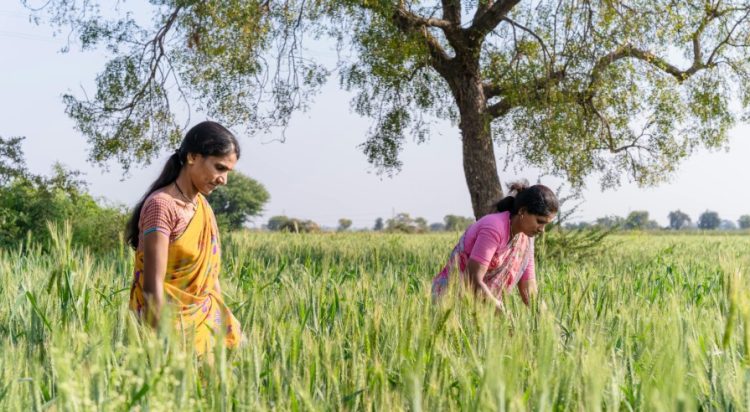 Ανοίγει η πόρτα της Ευρώπης στους εργάτες της Ινδίας – Τι «δίνει» η εμπορική συμφωνία στα αγροτικά προϊόντα
