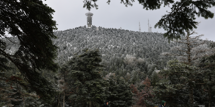 Καιρός: Διπλό κύμα πολικού ψύχους- χιόνι στην Αττική