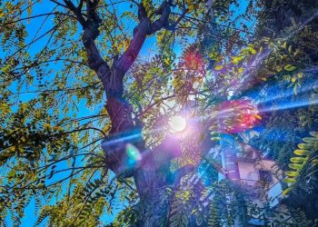 Καιρός: Ήλιος με δόντια και άνοδος της θερμοκρασίας