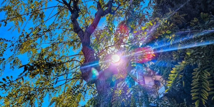 Καιρός: Ήλιος με δόντια και άνοδος της θερμοκρασίας