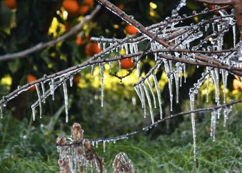 Εθελοντική αιμοδοσία στην αίθουσα του Μετρό Συντάγματος