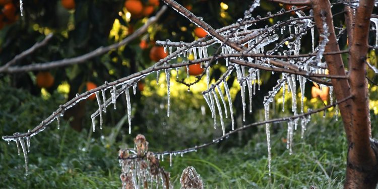 Εθελοντική αιμοδοσία στην αίθουσα του Μετρό Συντάγματος