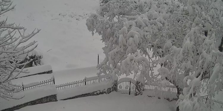 Καρδίτσα: Χιονόστρωση άνω του ενός μέτρου στα ορεινά της (βίντεο)