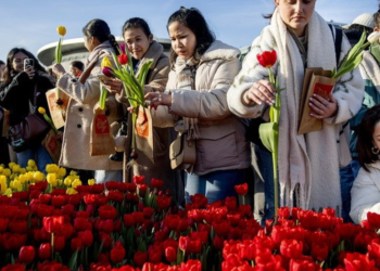 Ολλανδία: Χιλιάδες δωρεάν τουλίπες στην Εθνική Ημέρα Τουλίπας (βίντεο)