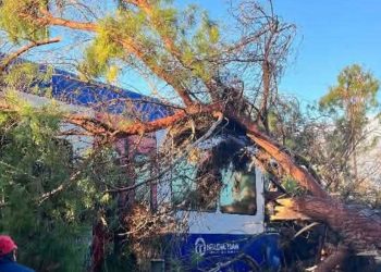 Πύργος: Δέντρο «καρφώθηκε» σε τρένο εν κινήσει