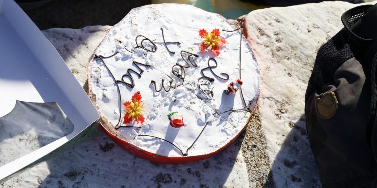 Βουλευτές σε mood: «Κοπή πίτας ή πολιτική επιβίωση»