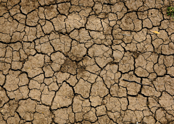 Πώς η κλιματική κρίση ωθεί ανθρώπους σε μετανάστευση