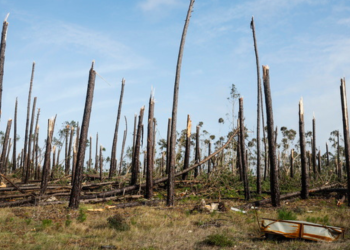 Πορτογαλία: Η Κριστίν άφησε ζημιές δισεκατομμυρίων