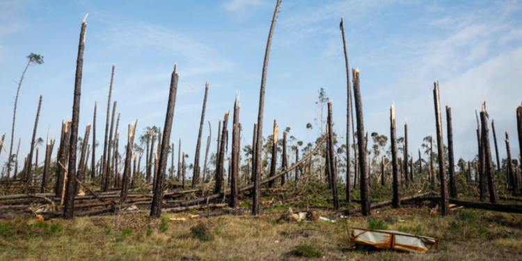 Πορτογαλία: Η Κριστίν άφησε ζημιές δισεκατομμυρίων